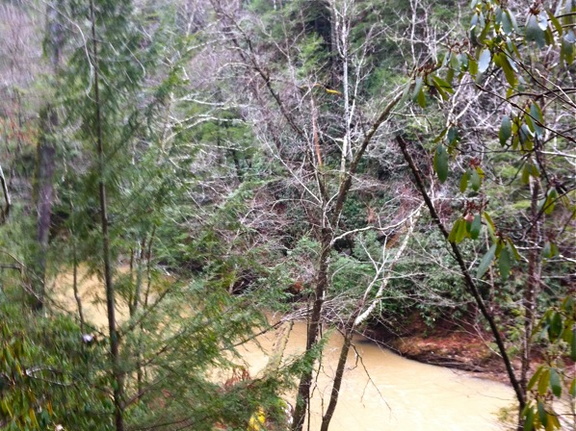 Swift Camp Creek Trail - 3